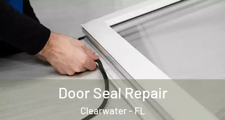 Door Seal Repair Clearwater - FL