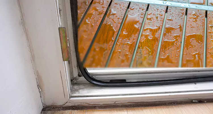 Water Leaking Wooden Patio Doors Repair in Clearwater, FL
