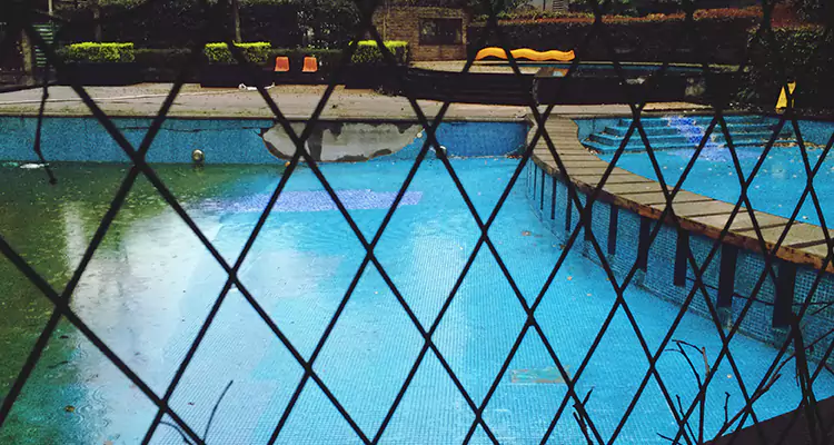 Lanai Screen Repair in Clearwater, FL