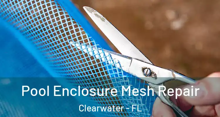 Pool Enclosure Mesh Repair Clearwater - FL
