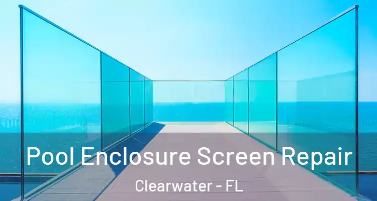 Pool Enclosure Screen Repair Clearwater - FL