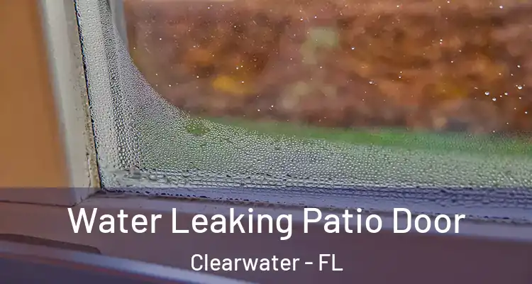 Water Leaking Patio Door Clearwater - FL
